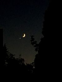 Low angle view of silhouette trees against sky at night