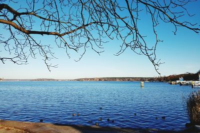 Scenic view of sea against clear blue sky