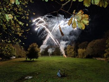 Trees on field against sky at night