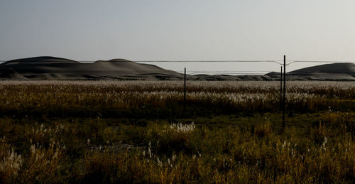 Scenic view of field against clear sky