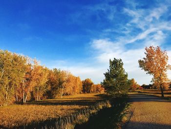 Road amidst trees against sky during autumn