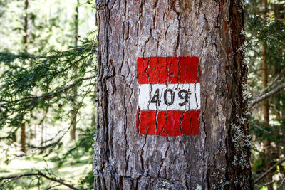 Close-up of sign on tree trunk in forest