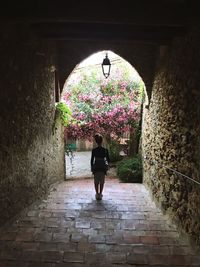 Rear view of woman walking on walkway