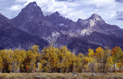 Scenic view of landscape and mountains against sky