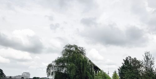 Low angle view of trees against sky