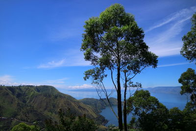 Scenic view of trees by mountains against sky