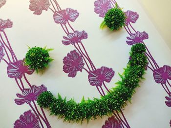 High angle view of plants on table