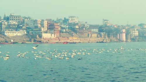 Scenic view of sea against clear sky