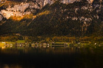 Scenic view of lake by trees