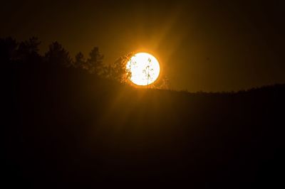 Low angle view of silhouette trees against sky during sunset