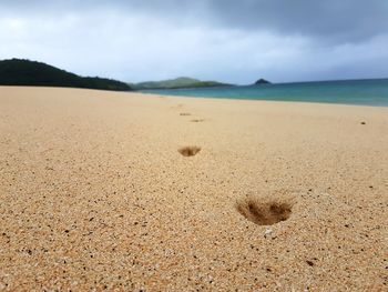 Scenic view of beach against sky