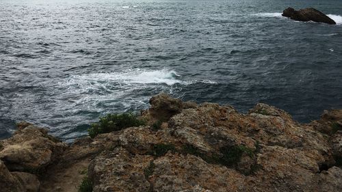 Scenic view of sea shore