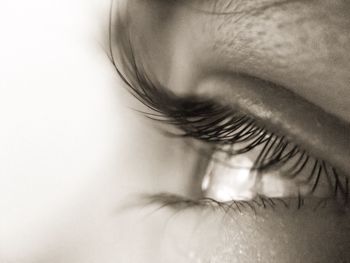 Cropped image of woman eye