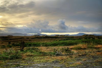 Scenic view of landscape against cloudy sky