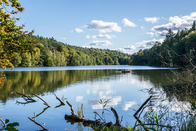 Scenic view of lake by trees against sky