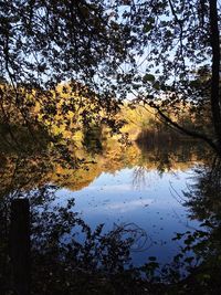 Scenic view of lake in forest against sky