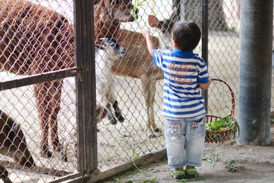 Rear view of boy standing by chainlink fence