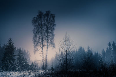 Silhouette trees against sky during winter