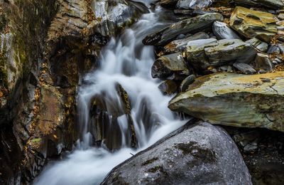 Scenic view of waterfall in forest