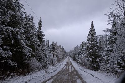 Road amidst trees against sky during winter
