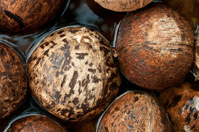 Full frame shot of coconuts