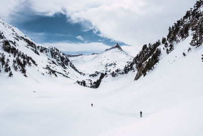 Traveler skiing on valley against mountain slope covered with coniferous trees and snow in sunny winter day