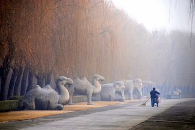 Rear view of man walking on sacred way leading towards ming tombs