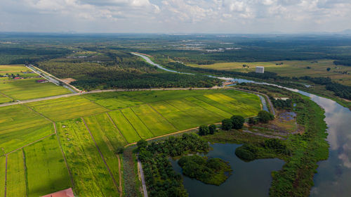 Scenic view of agricultural field against sky