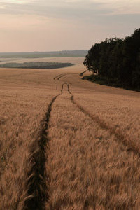 Scenic view of field against sky during sunset