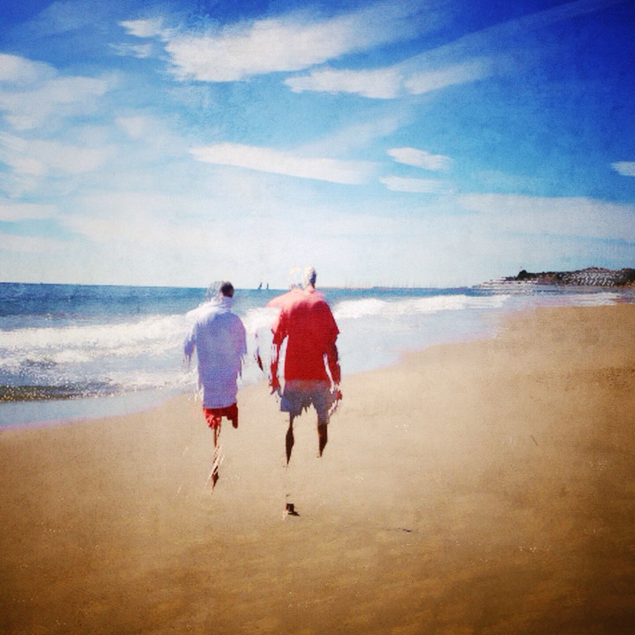 beach, sea, sand, horizon over water, shore, water, walking, sky, lifestyles, leisure activity, rear view, full length, person, vacations, men, togetherness, dog, nature