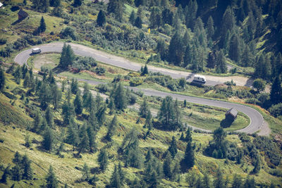 High angle view of road amidst trees