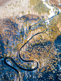 High angle view of a turtle in water