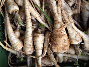 Detail shot of radishes