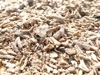 Full frame shot of pebbles on sand