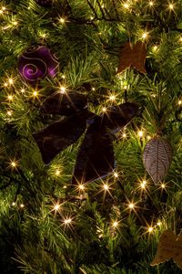 Illuminated christmas tree at night