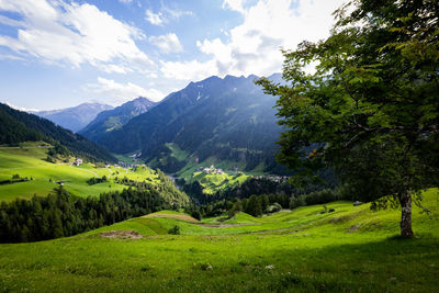 nature