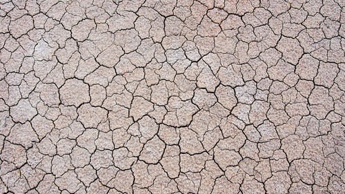 Close-up of cracked land