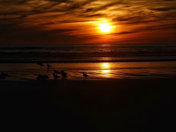 Scenic view of sea at sunset