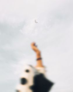 Low angle view of stuffed toy against sky