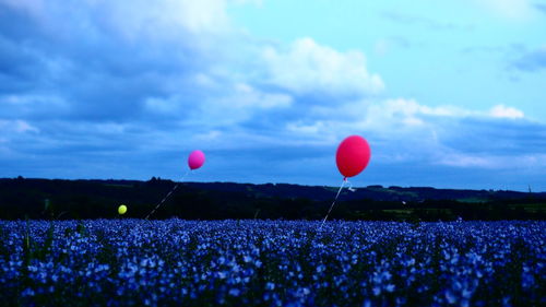 Balloons over field against cloudy sky during sunset