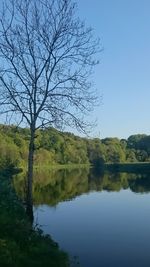 Scenic view of lake against clear blue sky