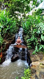 High angle view of waterfall in forest