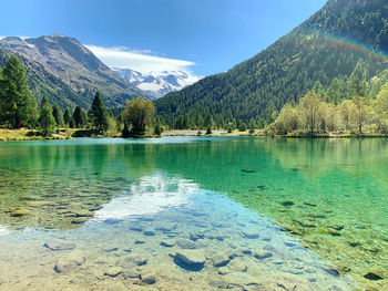 Scenic view of lake by trees against sky