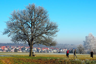 People looking at tree on field against cityscape in winter