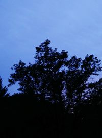 Low angle view of trees against clear blue sky