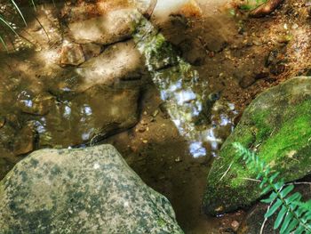 Rocks in water