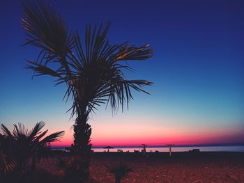 Palm tree by sea against clear sky at sunset