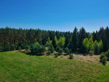 Scenic view of forest against blue sky