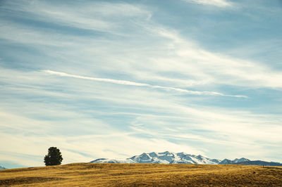 Scenic view of field against sky