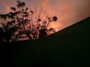 Low angle view of silhouette tree against sky during sunset